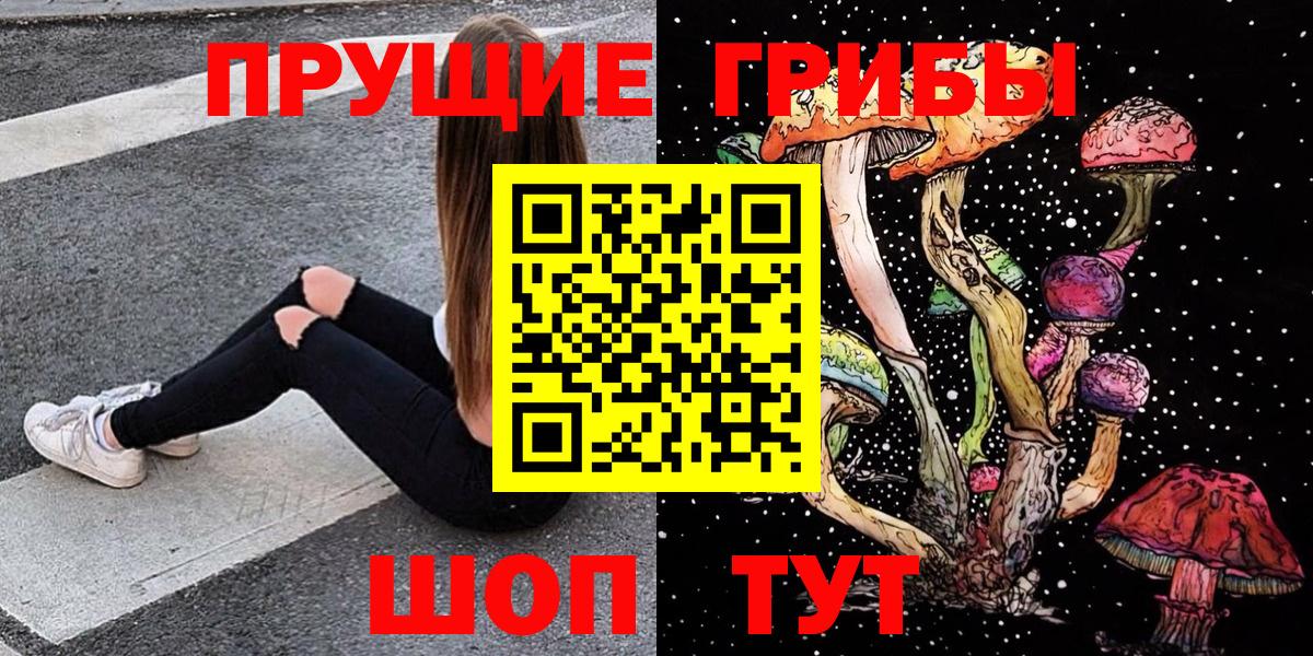 Альметьевск  Псилоцибиновые грибы Psilocybine cubensis  Вход с VPN 